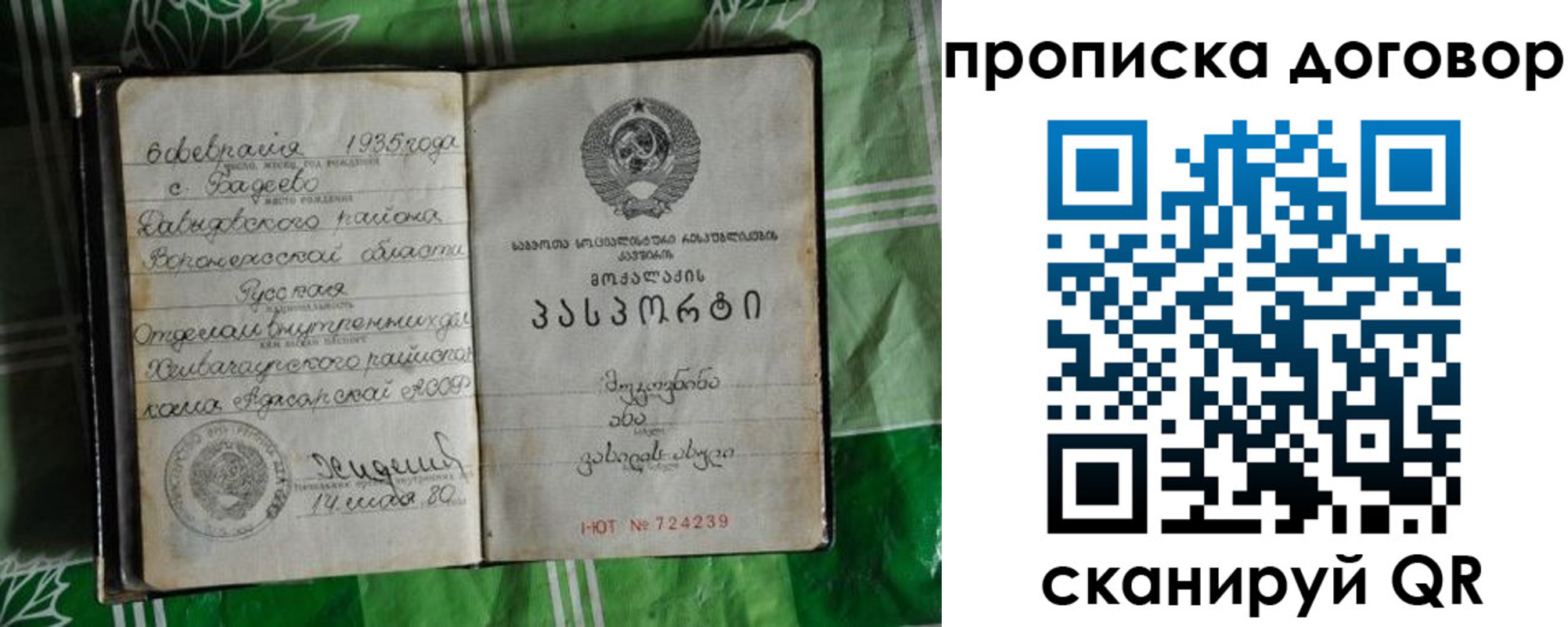 прописка в Алексине